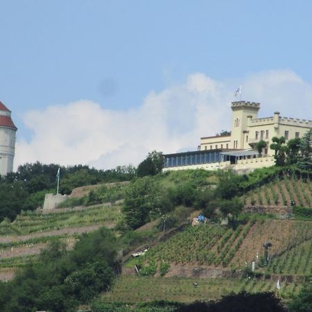 Hotel - Pension Villa Marie Radebeul Exteriör bild